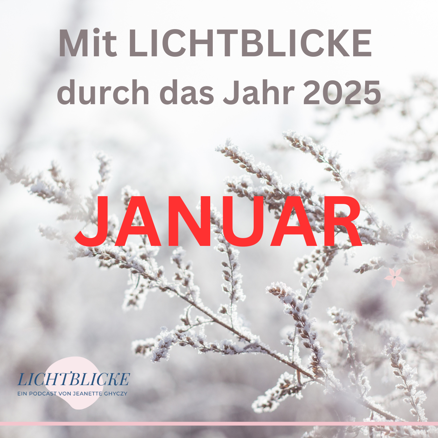 LICHTBLICKE